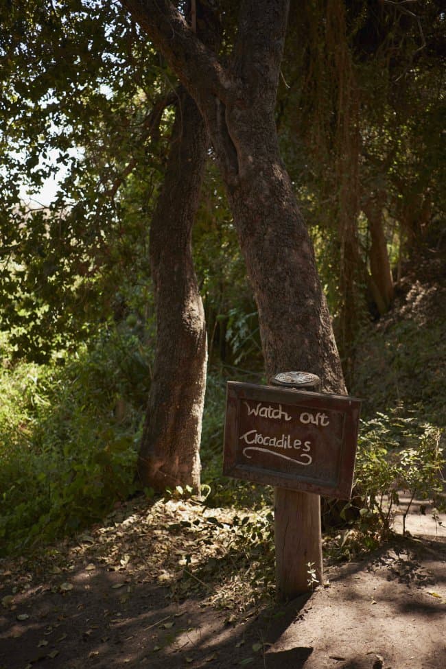 Watch Out Crocodiles Sign