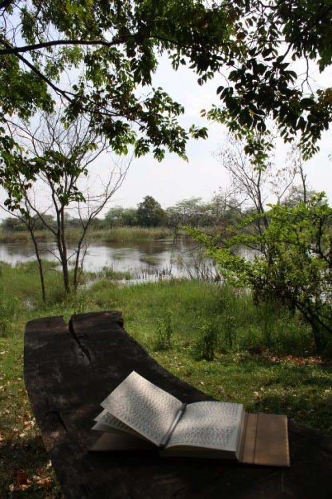 Reading Spot by the River