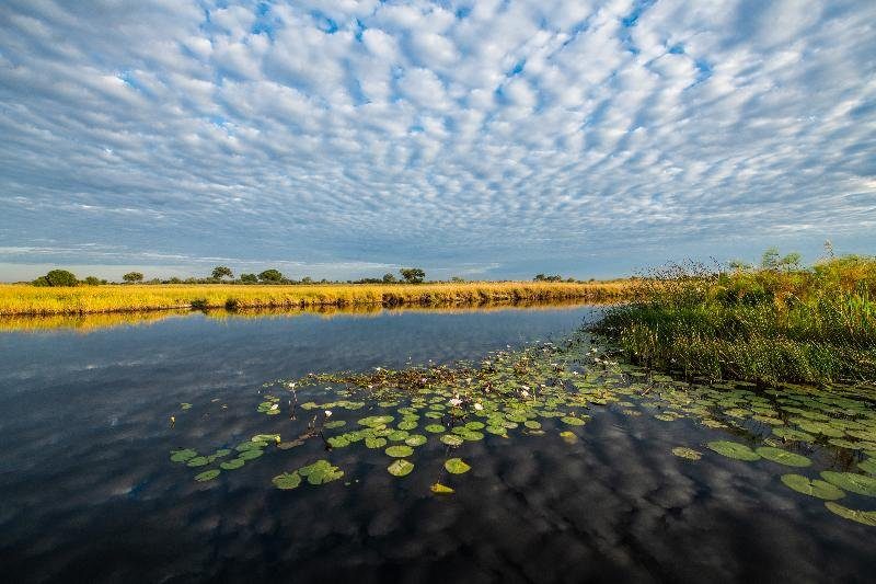 vue sur la rivière